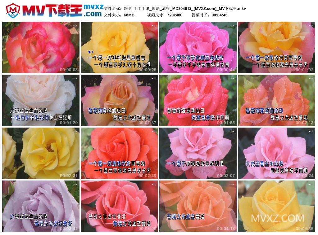 路勇-千手千眼_国语_流行_MD304812